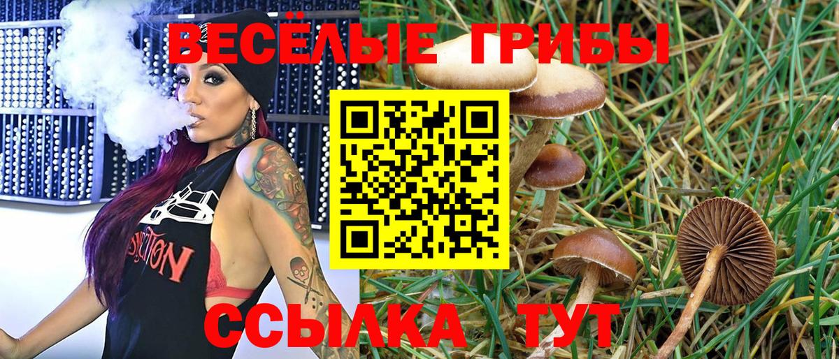 Миасс  Псилоцибиновые грибы MAGIC MUSHROOMS  Галлюциногенные грибы ЛСД  Вход с VPN 